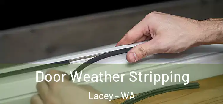 Door Weather Stripping Lacey - WA