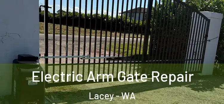Electric Arm Gate Repair Lacey - WA