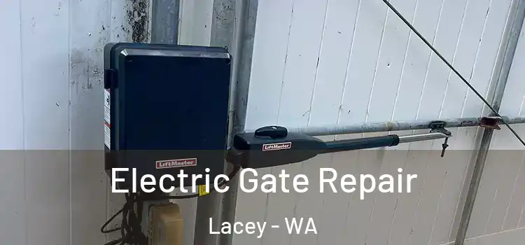 Electric Gate Repair Lacey - WA