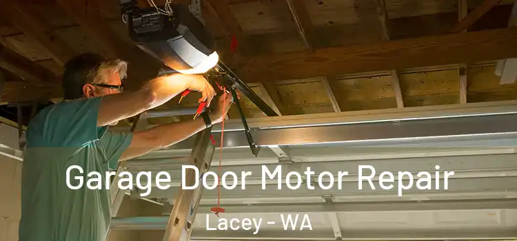  Garage Door Motor Repair Lacey - WA