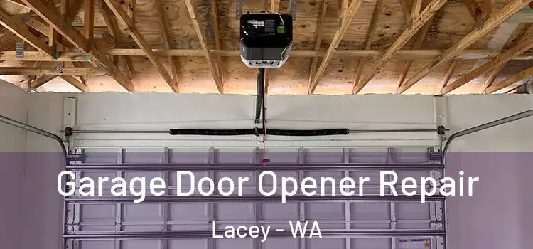  Garage Door Opener Repair Lacey - WA