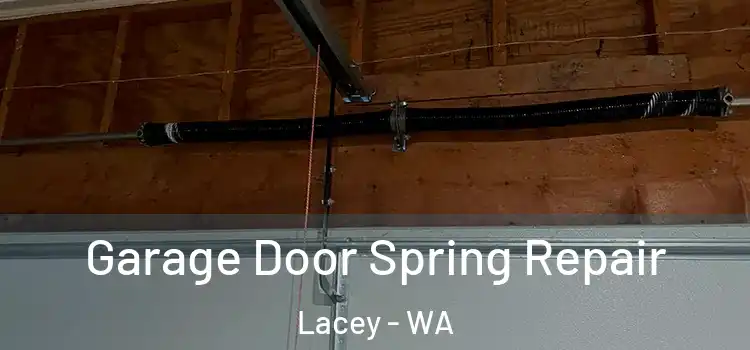  Garage Door Spring Repair Lacey - WA