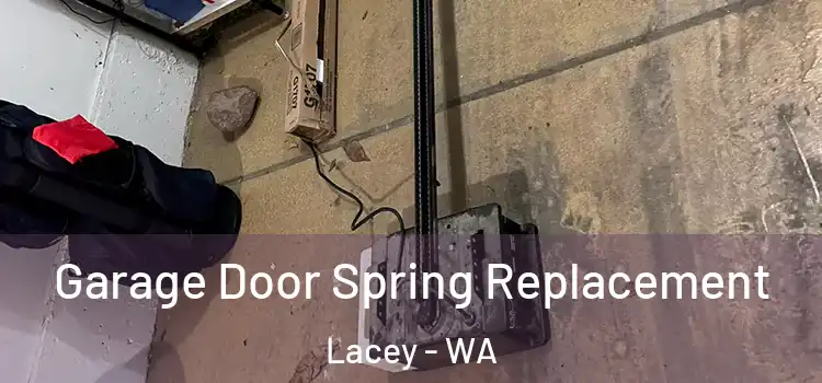  Garage Door Spring Replacement Lacey - WA