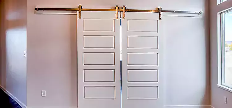 Glass Barn Door with Installation Hardware Kit Lacey