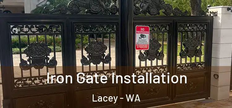 Iron Gate Installation Lacey - WA