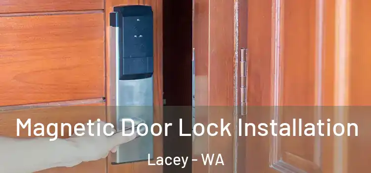  Magnetic Door Lock Installation Lacey - WA
