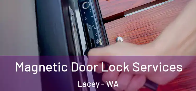 Magnetic Door Lock Services Lacey - WA