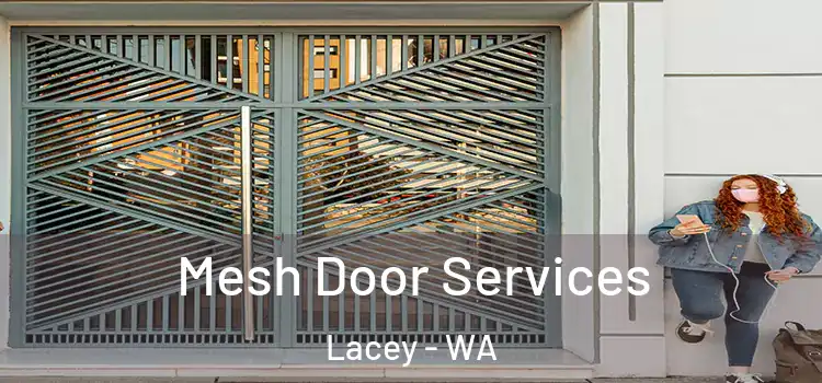 Mesh Door Services Lacey - WA