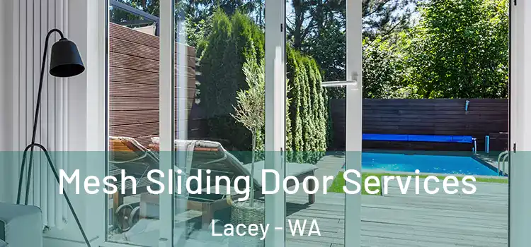 Mesh Sliding Door Services Lacey - WA