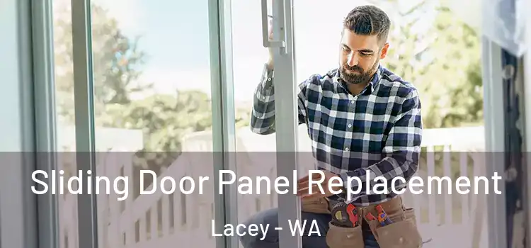  Sliding Door Panel Replacement Lacey - WA