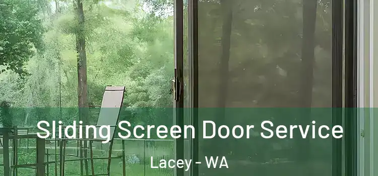 Sliding Screen Door Service Lacey - WA