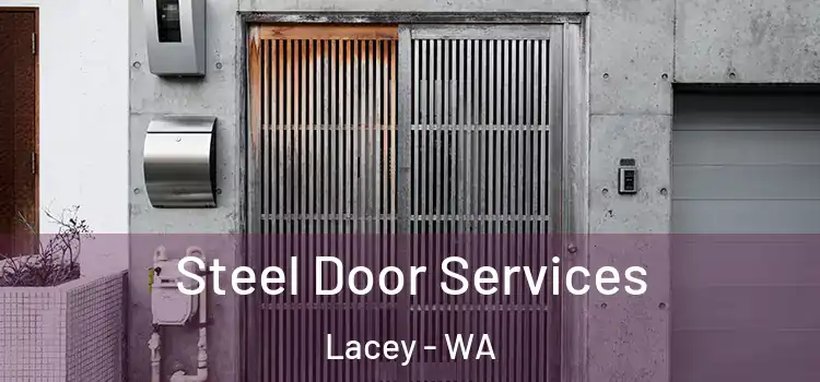 Steel Door Services Lacey - WA